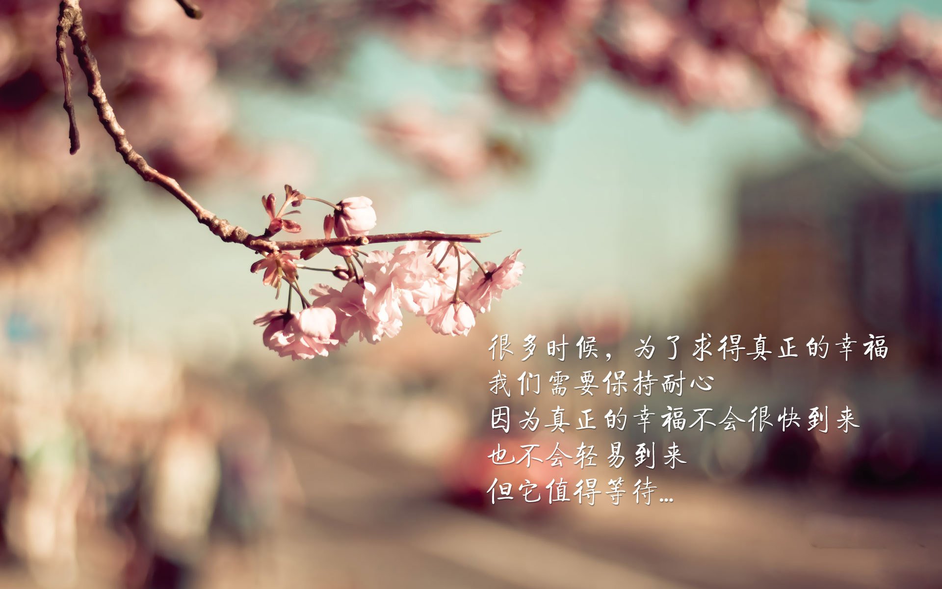 深度报道：世俱杯背后隐藏的商业秘密，世俱杯介绍