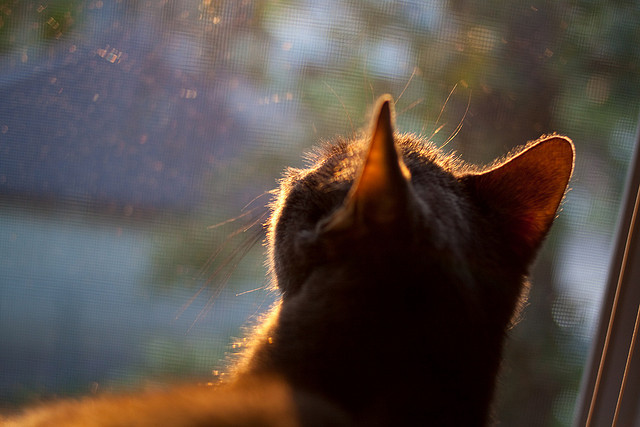 东亚杯中国足球平局 球员需要提升临场应变能力，东亚杯国足成绩