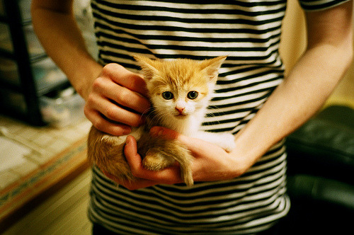 中国三人篮球女队坚持高标准训练强度,中国三人篮球女队成绩