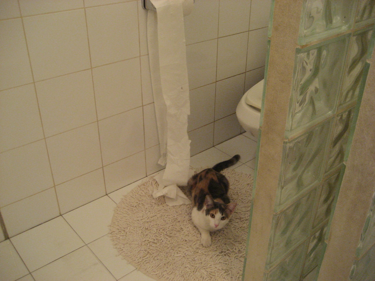 开云体育入口-中国女篮坚持每日技战术训练 保持状态持续在线，中国女篮训练赛