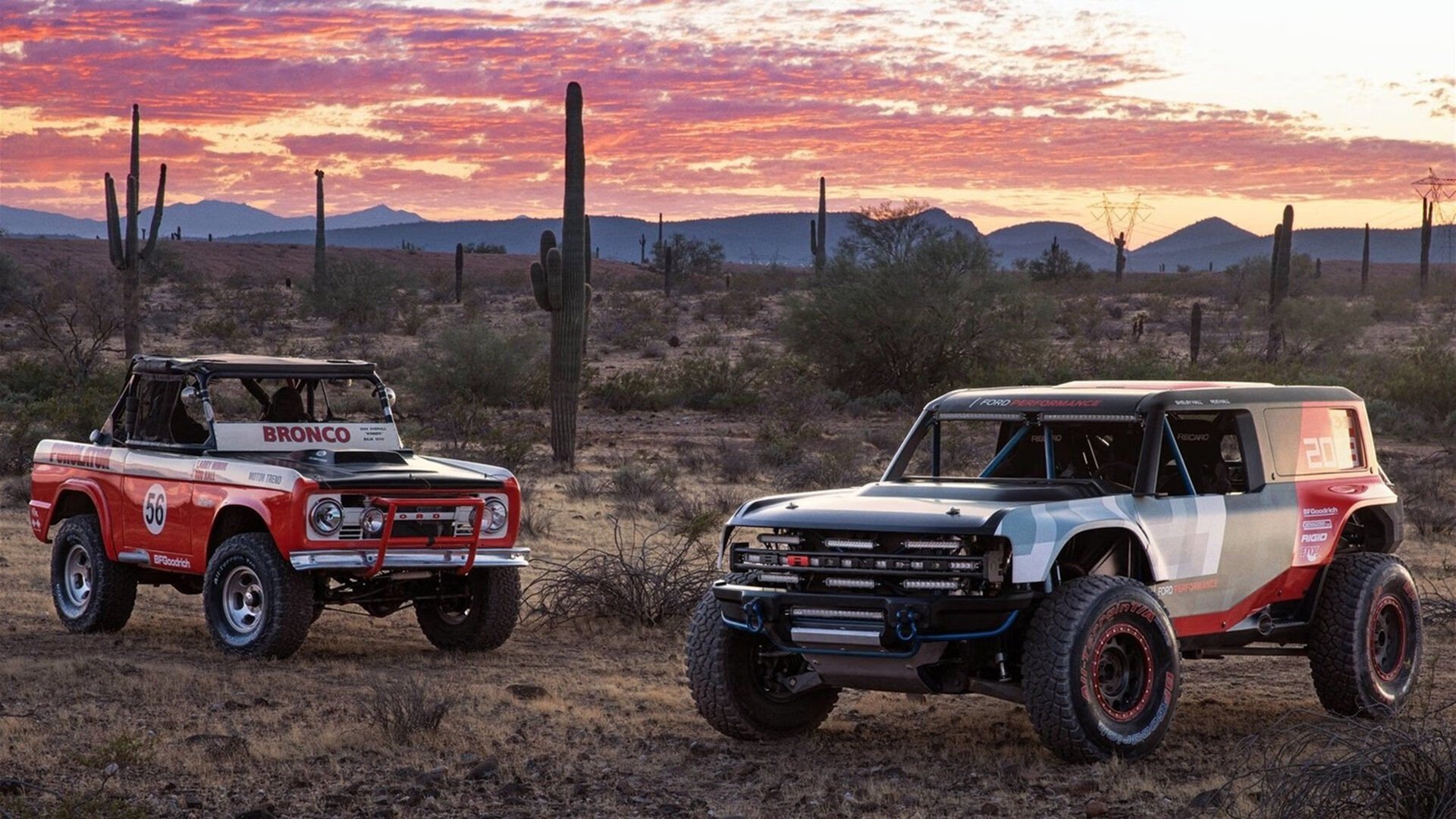 中国选手划频波动下降，节奏更均匀