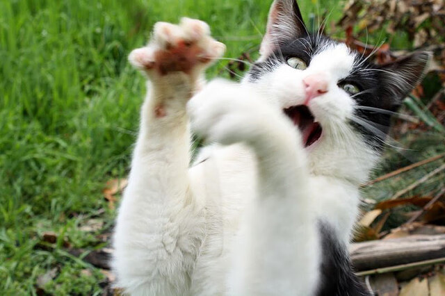 五大联赛焦点德比战谁最具看点，五大联赛焦点德比战谁最具看点的