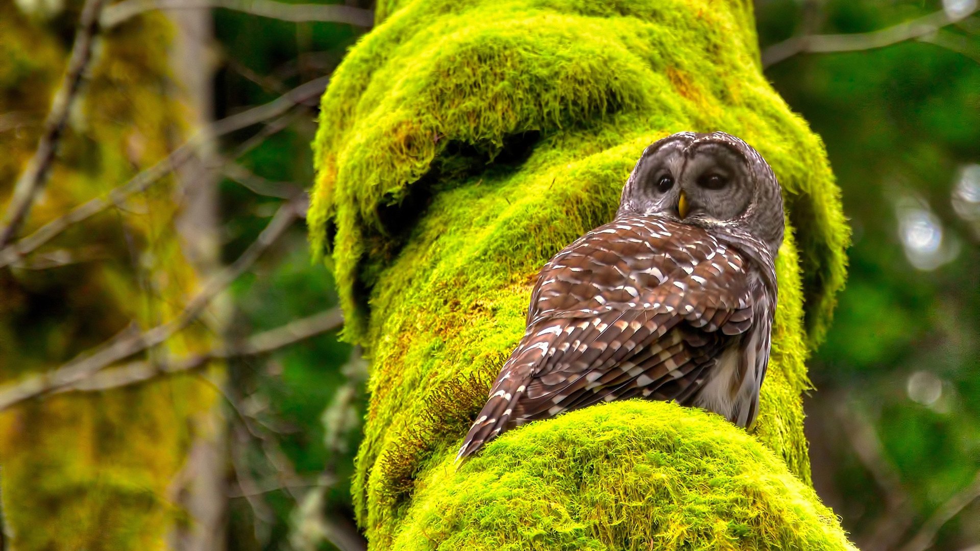 体育新闻中心发布体育赛事内容数字化标准体系,体育赛事信息