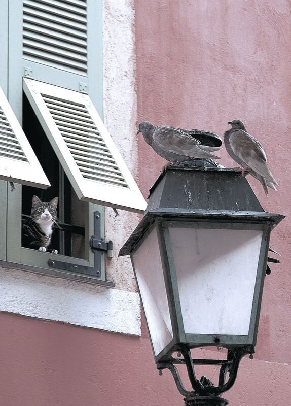 开云体育网址-滑行区间利用率持续攀升，滑行间隔