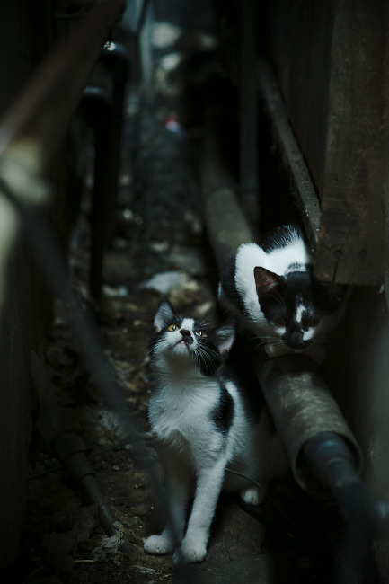 开云体育在线登入-转身动作时间优化方案，转身 动作