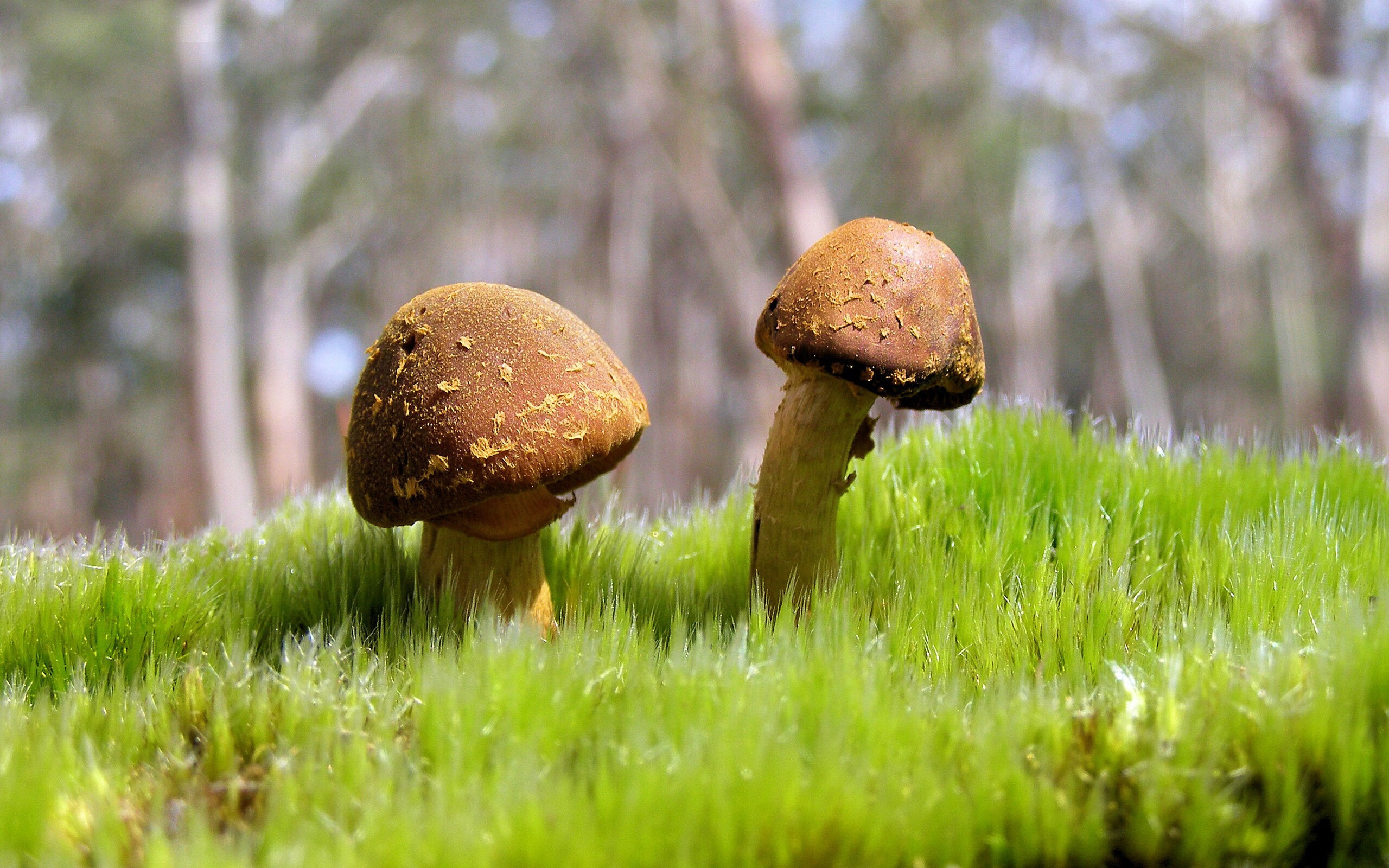 开云体育在线官网-CBA裁判管理改革提升执法专业性和透明度，cba的裁判归谁管