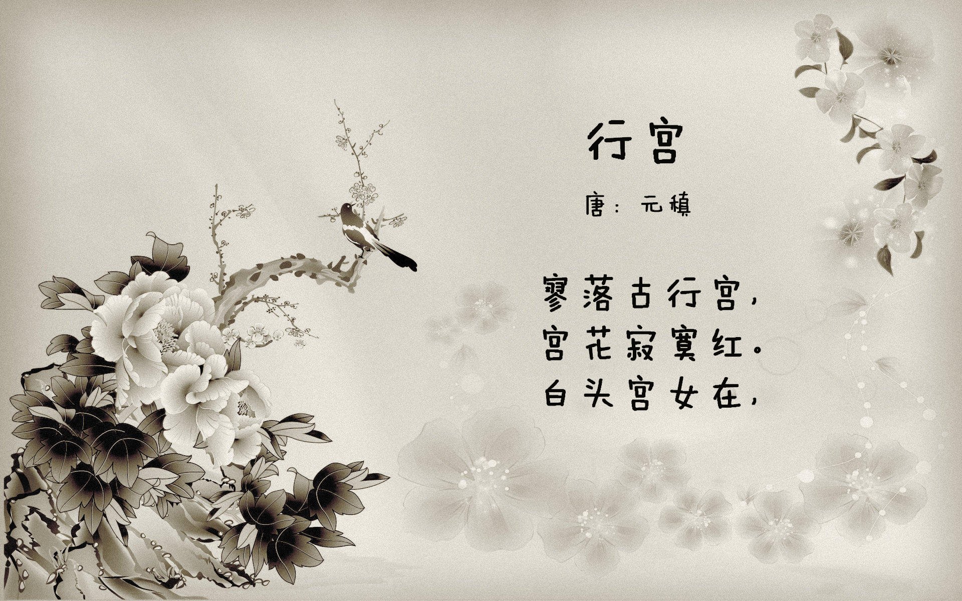 国王球迷自制纪录片上线引发共鸣,国王球队在哪个城市