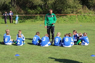 开云体育登录入口-德甲客场战术大公开，德甲打法