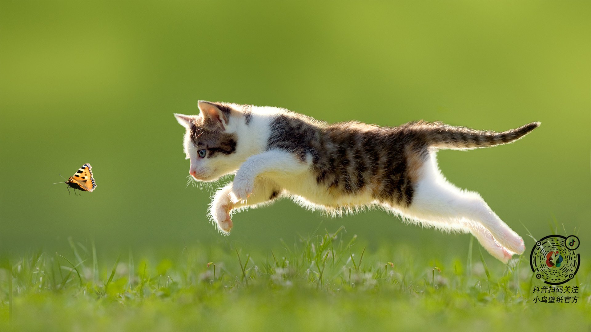 意甲激情攻势：贴地飞行的完美瞬间，意甲贴吧