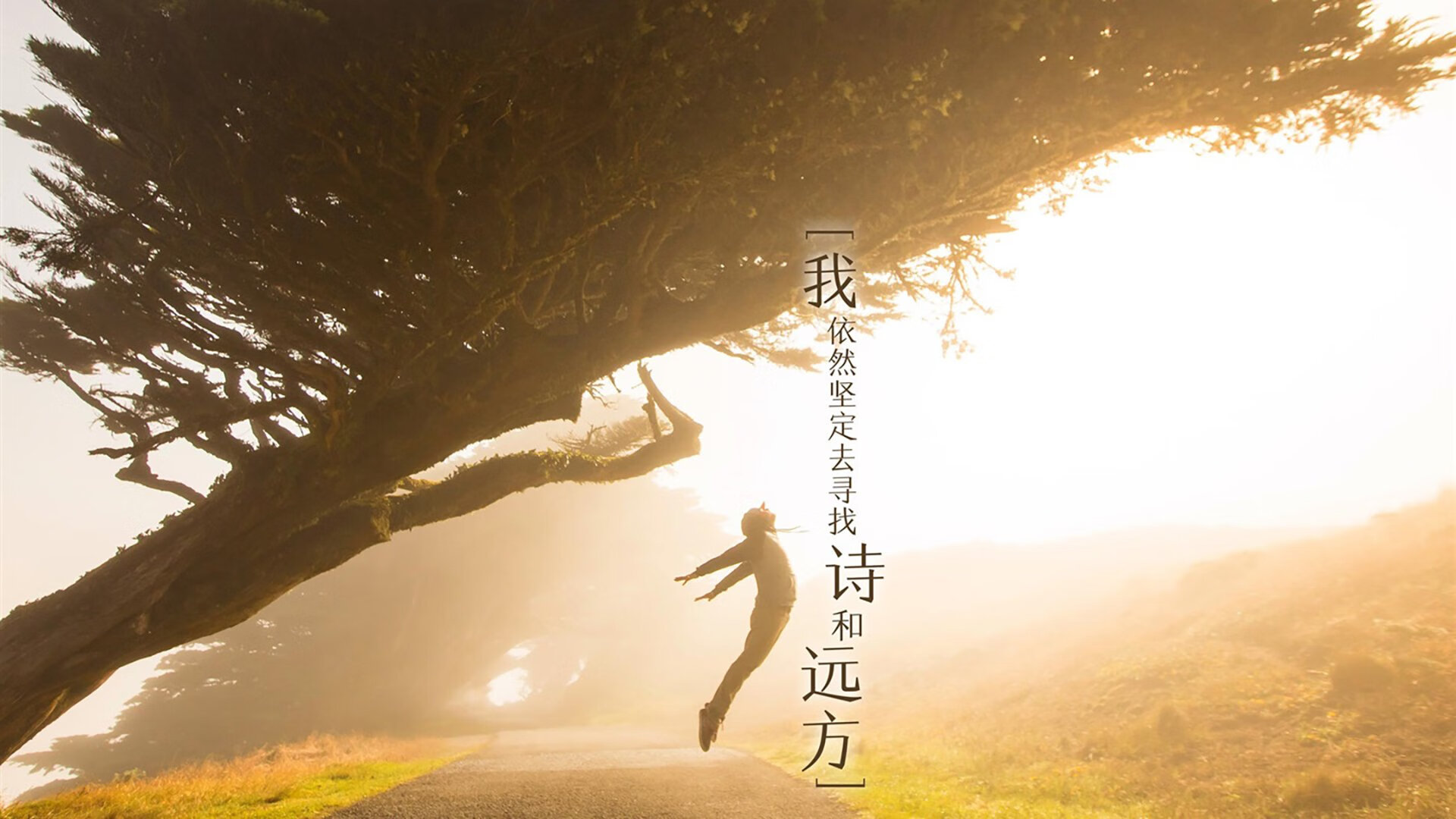 篮网快速推进半场打乱对手防守节奏，篮网进攻